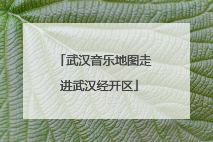 武汉音乐地图走进武汉经开区