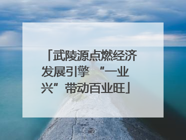 武陵源点燃经济发展引擎 “一业兴”带动百业旺