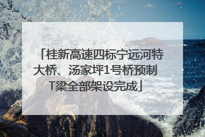 桂新高速四标宁远河特大桥、汤家坪1号桥预制T梁全部架设完成