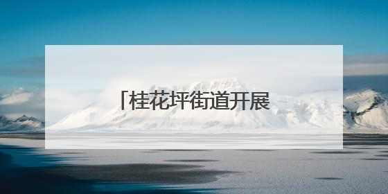 桂花坪街道开展六五环保活动，共筑绿色家园