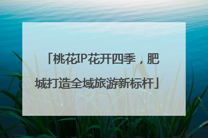 桃花IP花开四季，肥城打造全域旅游新标杆