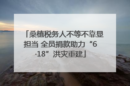 桑植税务人不等不靠显担当 全员捐款助力“6·18”洪灾重建