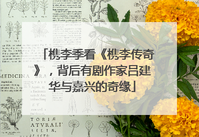 槜李季看《槜李传奇》，背后有剧作家吕建华与嘉兴的奇缘