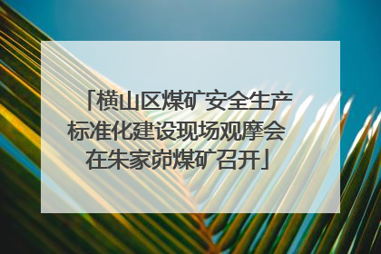 横山区煤矿安全生产标准化建设现场观摩会在朱家峁煤矿召开