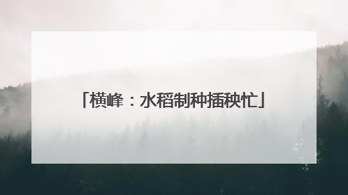 横峰：水稻制种插秧忙