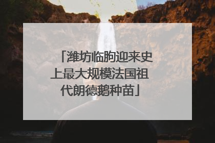 潍坊临朐迎来史上最大规模法国祖代朗德鹅种苗