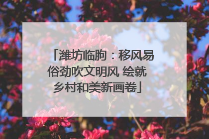 潍坊临朐：移风易俗劲吹文明风 绘就乡村和美新画卷