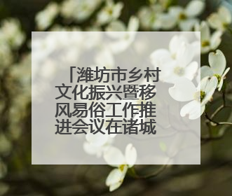 潍坊市乡村文化振兴暨移风易俗工作推进会议在诸城召开