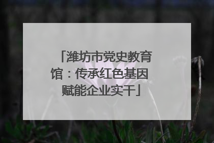 潍坊市党史教育馆：传承红色基因 赋能企业实干