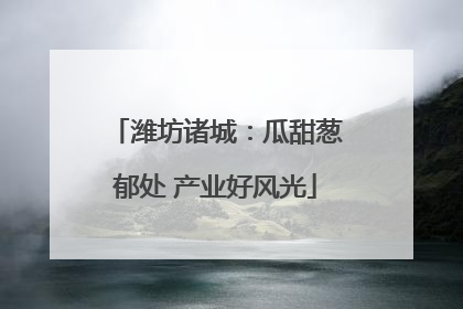 潍坊诸城：瓜甜葱郁处 产业好风光