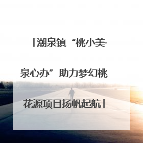 潮泉镇“桃小美·泉心办”助力梦幻桃花源项目扬帆起航