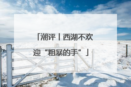 潮评丨西湖不欢迎“粗暴的手”