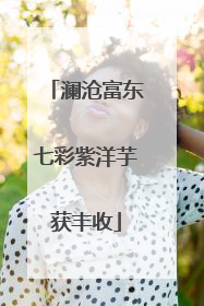 澜沧富东七彩紫洋芋获丰收