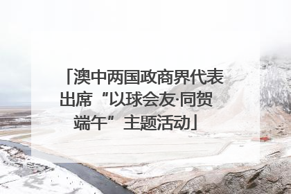 澳中两国政商界代表出席“以球会友·同贺端午”主题活动