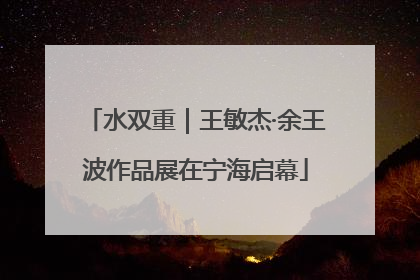 水双重｜王敏杰·余王波作品展在宁海启幕