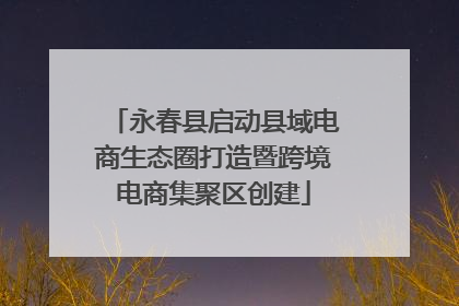 永春县启动县域电商生态圈打造暨跨境电商集聚区创建