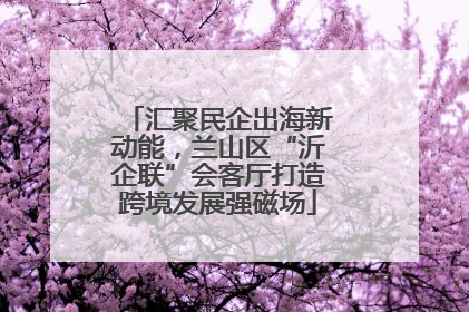 汇聚民企出海新动能，兰山区“沂企联”会客厅打造跨境发展强磁场