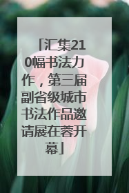 汇集210幅书法力作，第三届副省级城市书法作品邀请展在蓉开幕