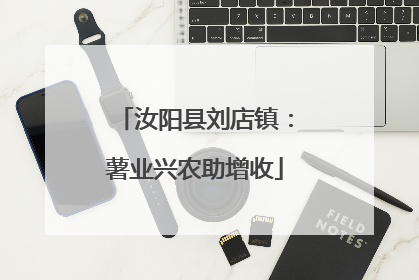 汝阳县刘店镇：薯业兴农助增收