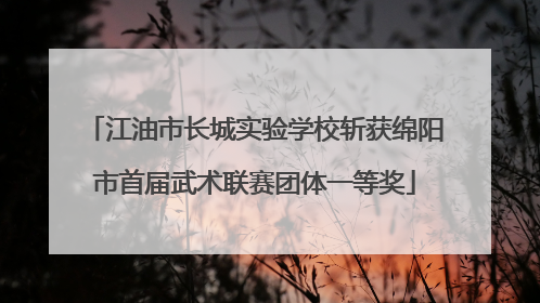 江油市长城实验学校斩获绵阳市首届武术联赛团体一等奖