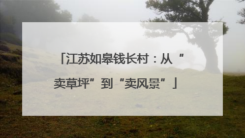 江苏如皋钱长村：从“卖草坪”到“卖风景”