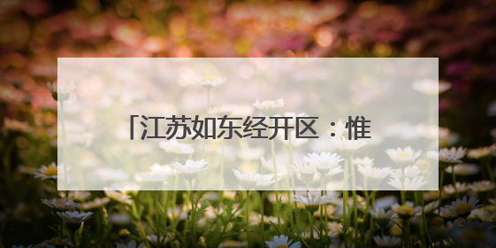 江苏如东经开区：惟“新”图强以“新”提质推进产业强区
