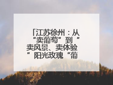 江苏徐州：从“卖葡萄”到“卖风景、卖体验”阳光玫瑰“葡”就致富路