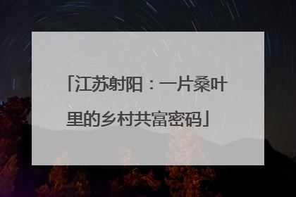 江苏射阳：一片桑叶里的乡村共富密码