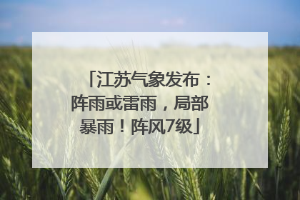 江苏气象发布：阵雨或雷雨，局部暴雨！阵风7级