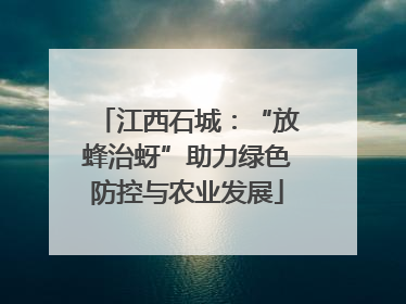 江西石城：“放蜂治蚜”助力绿色防控与农业发展