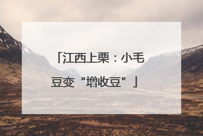 江西上栗：小毛豆变“增收豆”