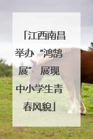 江西南昌举办“鸿鹄展” 展现中小学生青春风貌