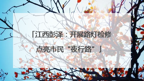 江西彭泽：开展路灯检修 点亮市民“夜行路”