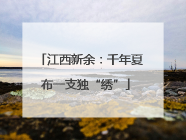 江西新余：千年夏布一支独“绣”