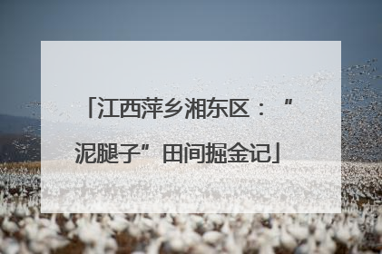 江西萍乡湘东区：“泥腿子”田间掘金记