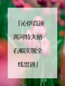 沁伊高速黄河特大桥右幅实现全线贯通