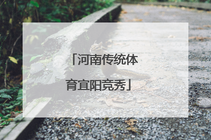 河南传统体育宜阳竞秀