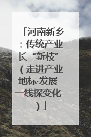 河南新乡：传统产业长“新枝”（走进产业地标·发展一线探变化）