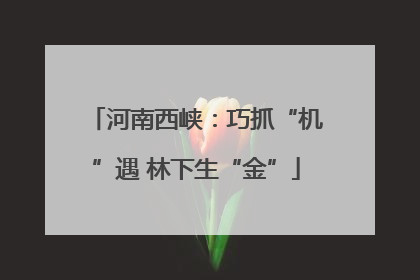 河南西峡：巧抓“机”遇 林下生“金”