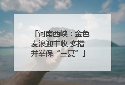 河南西峡：金色麦浪迎丰收 多措并举保“三夏”