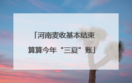 河南麦收基本结束 算算今年“三夏”账