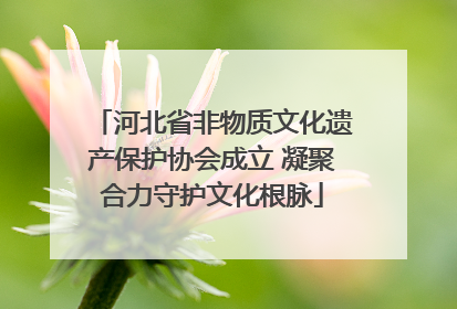 河北省非物质文化遗产保护协会成立 凝聚合力守护文化根脉