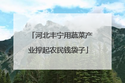 河北丰宁用蔬菜产业撑起农民钱袋子