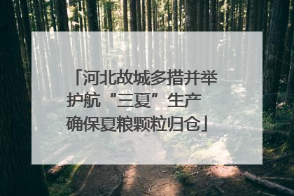 河北故城多措并举护航“三夏”生产 确保夏粮颗粒归仓