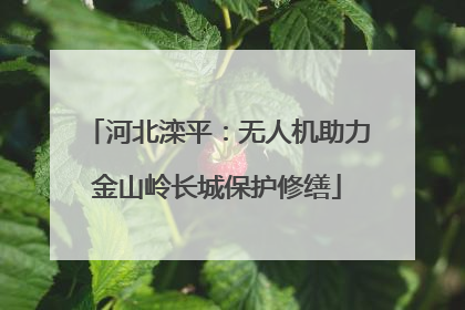 河北滦平：无人机助力金山岭长城保护修缮