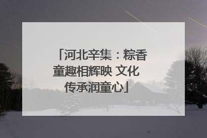 河北辛集：粽香童趣相辉映 文化传承润童心
