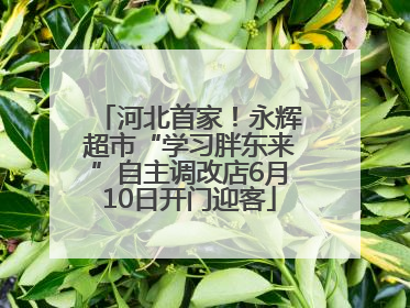 河北首家！永辉超市“学习胖东来”自主调改店6月10日开门迎客
