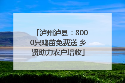 泸州泸县：8000只鸡苗免费送 乡贤助力农户增收