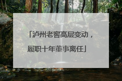 泸州老窖高层变动，履职十年董事离任