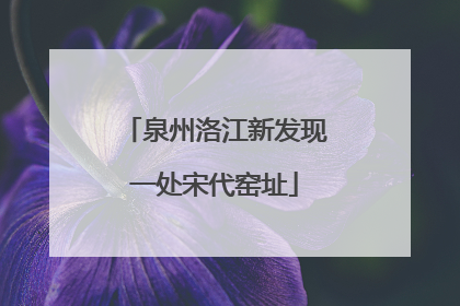 泉州洛江新发现一处宋代窑址